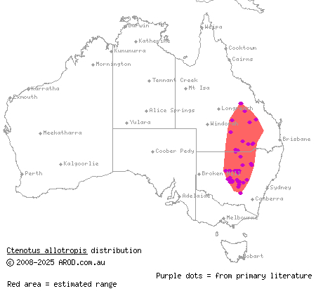 brown-blazed wedgesnout ctenotus (Ctenotus allotropis) distribution range map