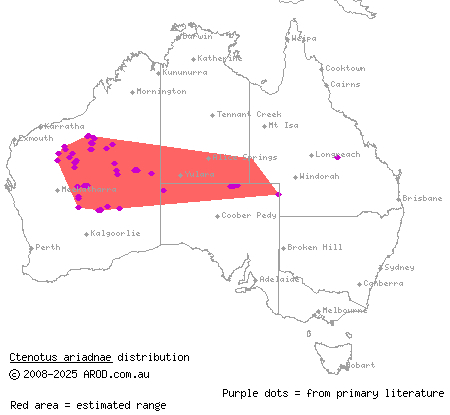 Ariadna's ctenotus (Ctenotus ariadnae) distribution range map