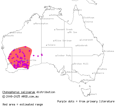 claypan dragon (Ctenophorus salinarum) distribution range map