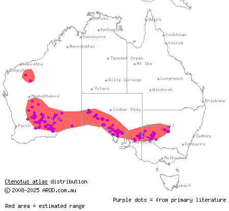 southern mallee ctenotus (Ctenotus atlas) distribution range map