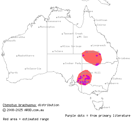 short-clawed ctenotus (Ctenotus brachyonyx) distribution range map