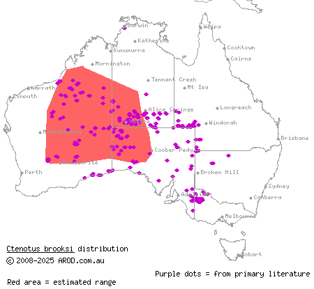 Brooks' ctenotus (Ctenotus brooksi) distribution range map