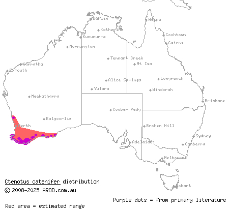 chain-striped south-west ctenotus (Ctenotus catenifer) distribution range map