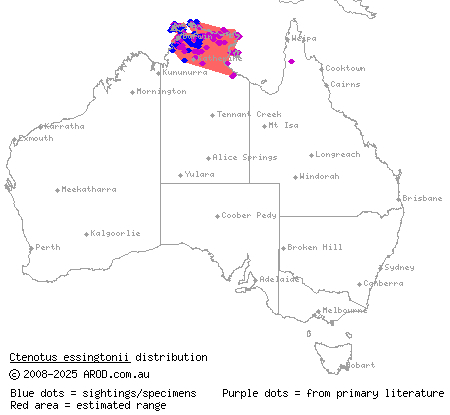 Essingtonian ctenotus (Ctenotus essingtonii) distribution range map