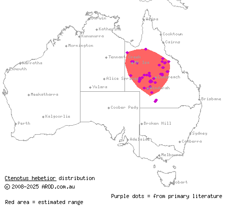 stout ctenotus (Ctenotus hebetior) distribution range map