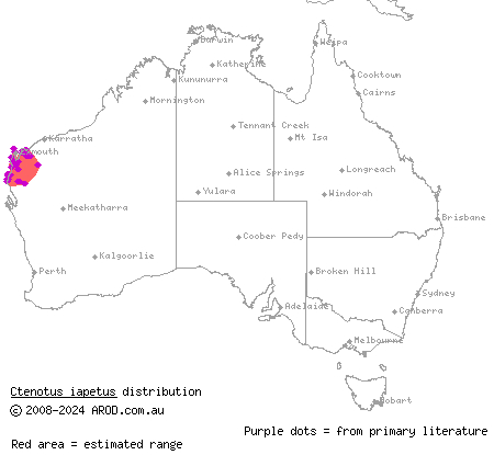 titanic ctenotus (Ctenotus iapetus) distribution range map