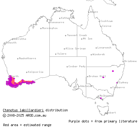 common south-west ctenotus (Ctenotus labillardieri) distribution range map