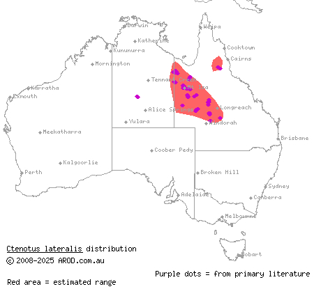 gravelly-soil ctenotus (Ctenotus lateralis) distribution range map