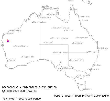 Yinnietharra rock dragon (Ctenophorus yinnietharra) distribution range map