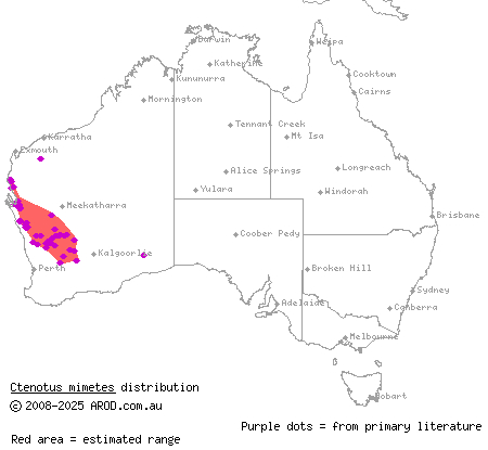 checker-sided ctenotus (Ctenotus mimetes) distribution range map