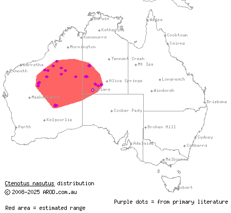 nasute finesnout ctenotus (Ctenotus nasutus) distribution range map