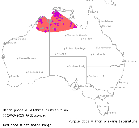 white-lipped two-lined dragon (Diporiphora albilabris) distribution range map