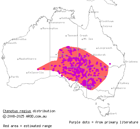 royal ctenotus (Ctenotus regius) distribution range map