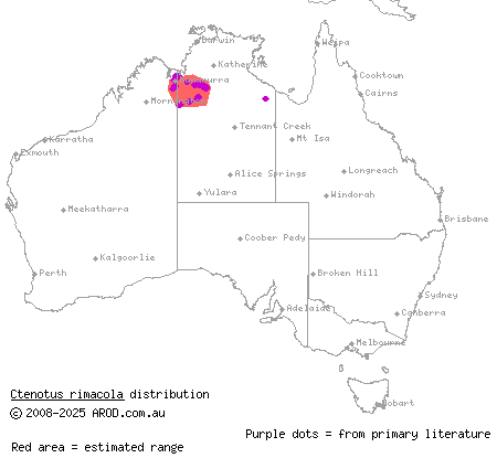 crack-dwelling ctenotus (Ctenotus rimacola) distribution range map