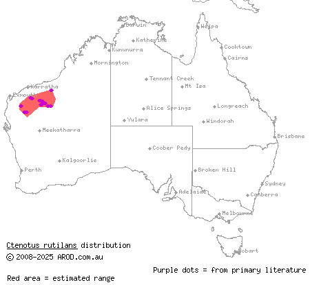 rusty-shouldered ctenotus (Ctenotus rutilans) distribution range map