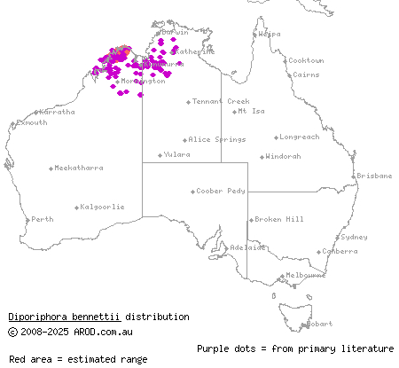 robust two-lined dragon (Diporiphora bennettii) distribution range map