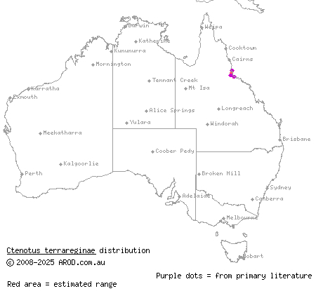 Hinchinbrook ctenotus (Ctenotus terrareginae) distribution range map