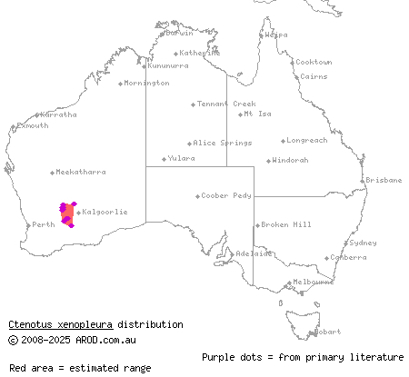 wide-striped ctenotus (Ctenotus xenopleura) distribution range map