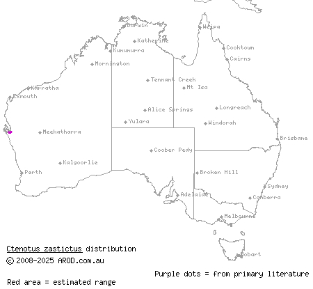 Hamelin Pool ctenotus (Ctenotus zastictus) distribution range map