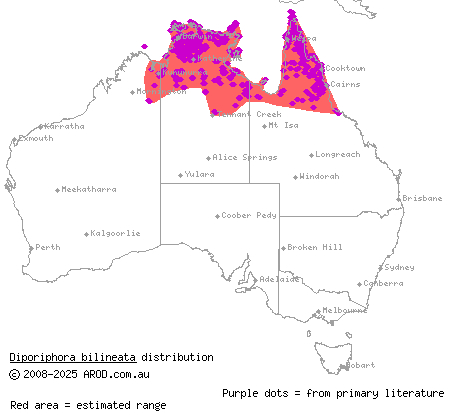 two-lined dragon (Diporiphora bilineata) distribution range map