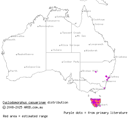 Tasmanian she-oak skink (Cyclodomorphus casuarinae) distribution range map