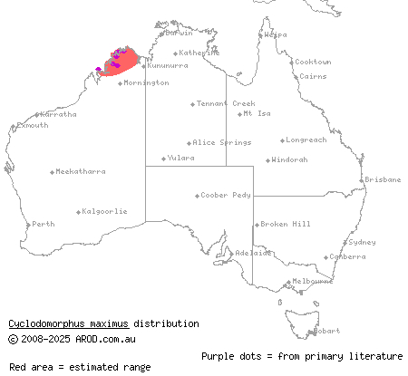 giant slender blue-tongue (Cyclodomorphus maximus) distribution range map