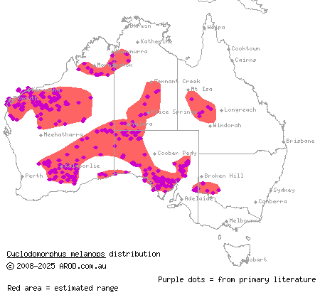 spinifex slender blue-tongue (Cyclodomorphus melanops) distribution range map