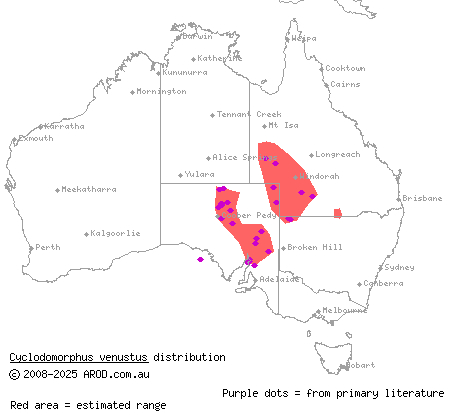 saltbush slender blue-tongue (Cyclodomorphus venustus) distribution range map