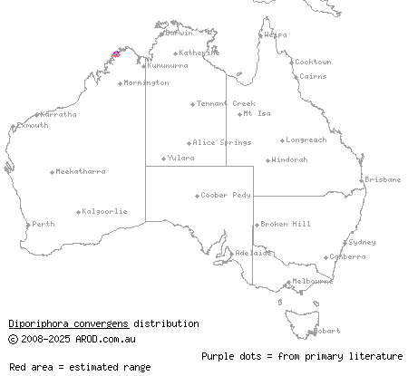 Crystal Creek two-lined dragon (Diporiphora convergens) distribution range map