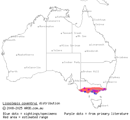 eastern mourning skink (Lissolepis coventryi) distribution range map