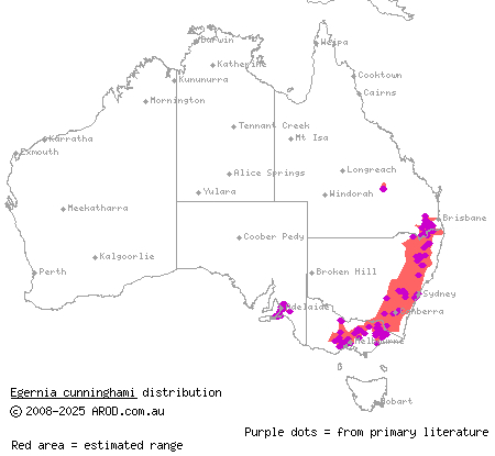 Cunningham's skink (Egernia cunninghami) distribution range map