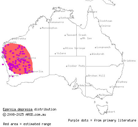 southern pygmy spiny-tailed skink (Egernia depressa) distribution range map