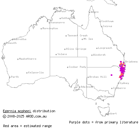 eastern crevice skink (Egernia mcpheei) distribution range map