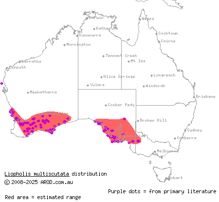 bull skink (Liopholis multiscutata) distribution range map