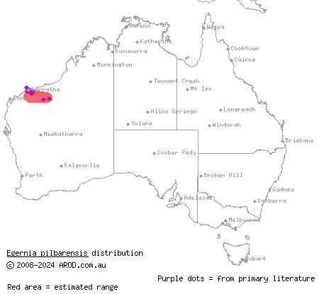 Pilbara crevice-skink (Egernia pilbarensis) distribution range map
