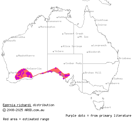 Bight crevice-skink (Egernia richardi) distribution range map