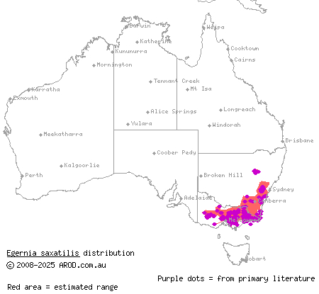 black rock skink (Egernia saxatilis) distribution range map