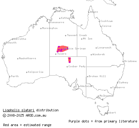 Slater's skink (Liopholis slateri) distribution range map