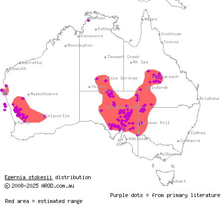 gidgee skink (Egernia stokesii) distribution range map