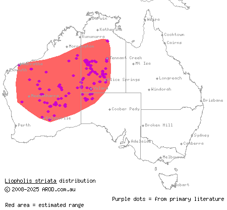 night skink (Liopholis striata) distribution range map