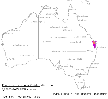 elf skink (Eroticoscincus graciloides) distribution range map