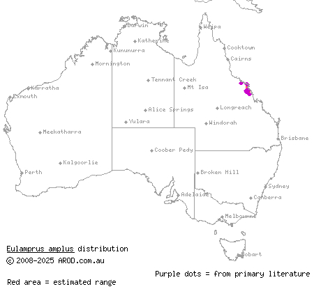 lemon-barred forest-skink (Eulamprus amplus) distribution range map