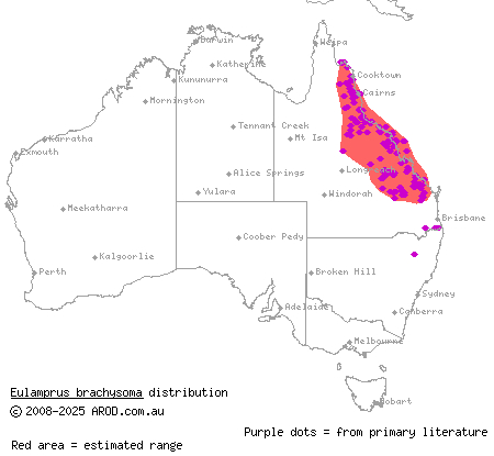 northern barsided skink (Eulamprus brachysoma) distribution range map