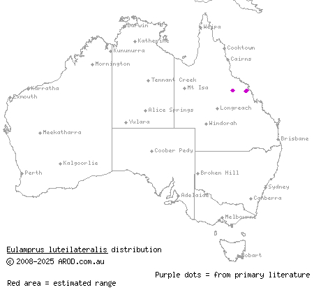 orange-speckled forest-skink (Eulamprus luteilateralis) distribution range map