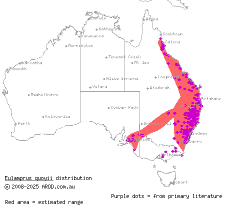 eastern water-skink (Eulamprus quoyii) distribution range map