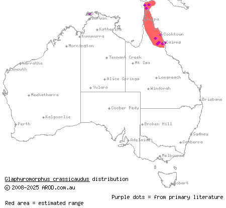 Cape York mulch-skink (Glaphyromorphus crassicaudus) distribution range map