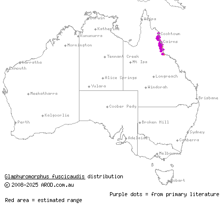 brown-tailed bar-lipped skink (Glaphyromorphus fuscicaudis) distribution range map