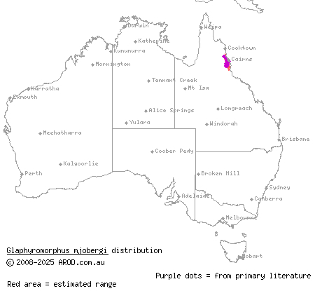 Atherton Tableland mulch-skink (Glaphyromorphus mjobergi) distribution range map