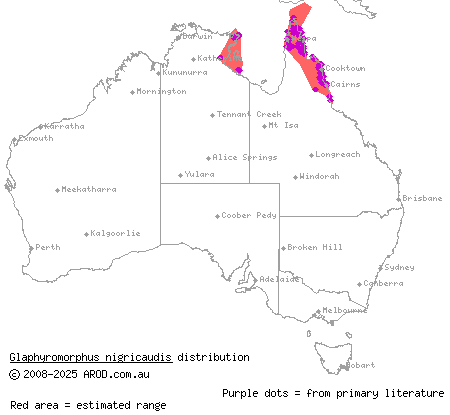 black-tailed bar-lipped skink (Glaphyromorphus nigricaudis) distribution range map