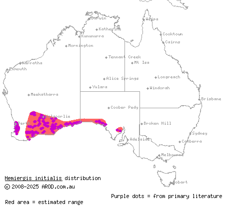 southwestern earless skink (Hemiergis initialis) distribution range map